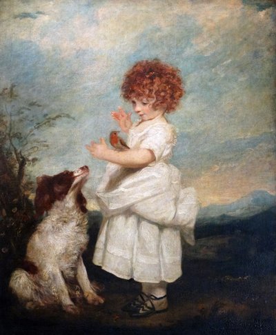 Retrato del Maestro Philip Yorke por Sir Joshua Reynolds de Joshua Reynolds