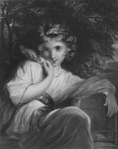 Robinet de Joshua Reynolds