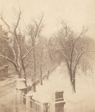 Escena de nieve en Boston Common, 1850s de Josiah Johnson Hawes