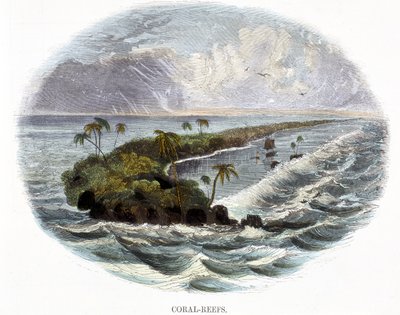 Arrecifes de coral, de Fenómenos de la naturaleza, 1849 de Josiah Wood Whymper