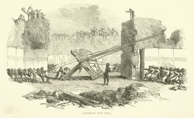 Bajando el toro de Josiah Wood Whymper