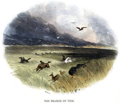 Pradera en llamas, de Fenómenos de la naturaleza, 1849 de Josiah Wood Whymper