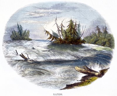 Rápidos, de Fenómenos de la naturaleza, 1849 de Josiah Wood Whymper