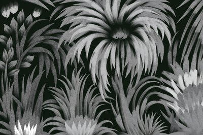 Exuberante selva tropical de Josie George