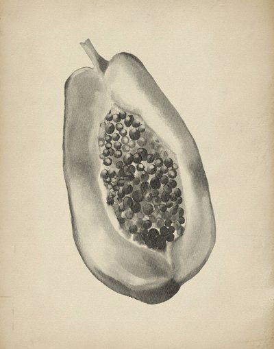 Media papaya tropical de Josie George