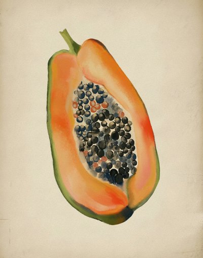 Media papaya de colores vivos de Josie George