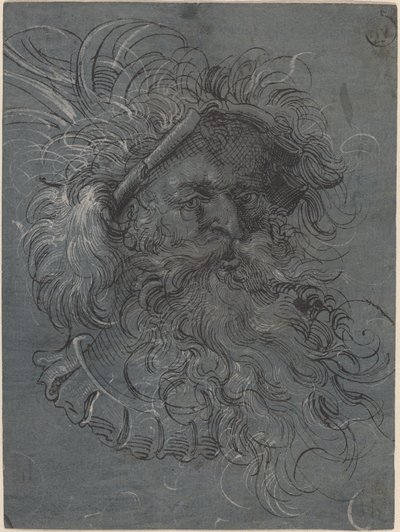 Cabeza de un hombre barbudo de Jost Amman