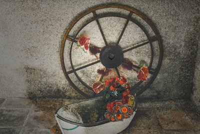 Flores para los marineros, de la serie, Chapelle du Canal, 2016 (fotografía). de Joy Lions