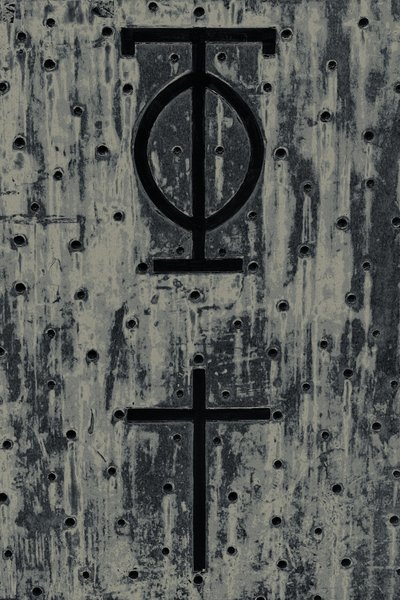 Iconos, de la serie El observador, 2016 (fotografía) de Joy Lions
