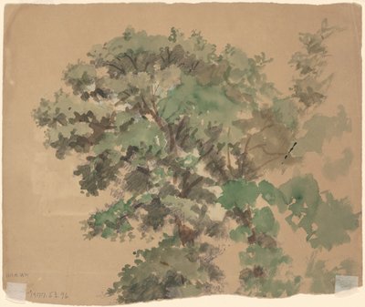Árbol [verso] de Jr. Enoch Wood Perry