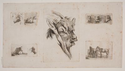 Caballos, vacas, gatos y una cabeza de cabra. Placa de prueba con cinco grabados de Jørgen V. Sonne