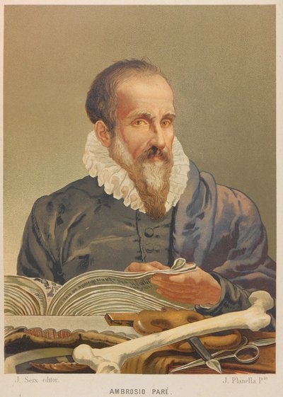 Retrato de Ambroise Paré, 1879 de Juan Planella y Rodríguez