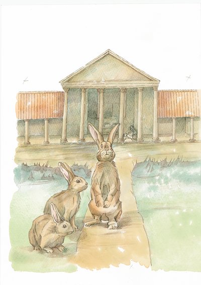 Conejos frente al Palacio Romano de Fishbourne, Fishbourne, Chichester, West Sussex de Judith Dobie