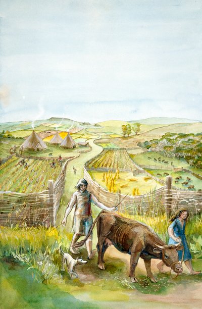 Paisaje rural de Judith Dobie