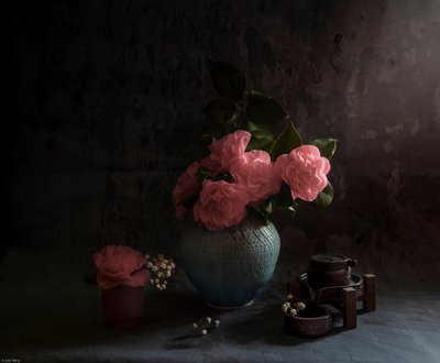  de Judy Tseng