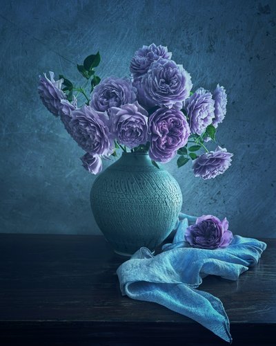 Rosas moradas y tranquilas de Judy Tseng