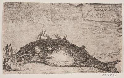 Una ballena varada en Eiderstedt de Jürgen Ovens