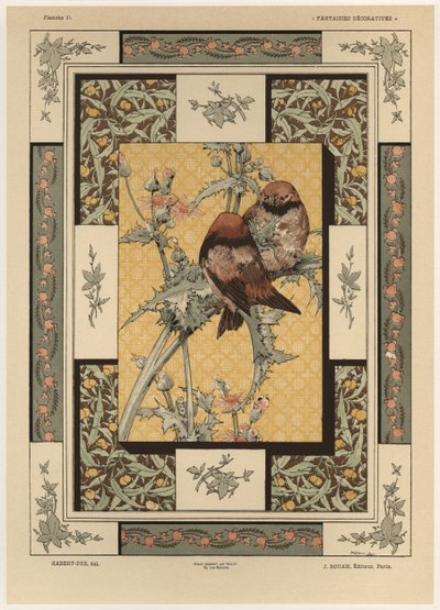 Aves, lámina 35 de 
