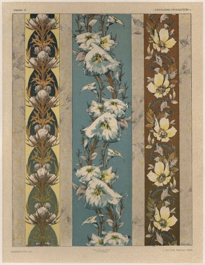 Flores, lámina 18, ilustración de 
