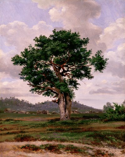 Le Rageur (el irascible) de Jules Dupré
