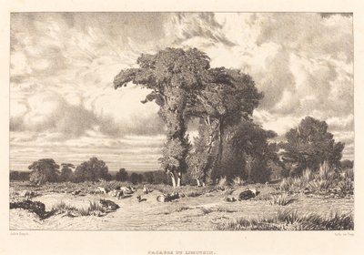 Pastos de Limousin (Pacages du Limousin) de Jules Dupré