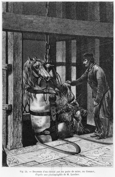 Caballo siendo bajado al pozo de carbón en Le Creusot, ilustración de 