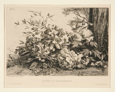 peonias y rododendros de Jules Ferdinand Jacquemart