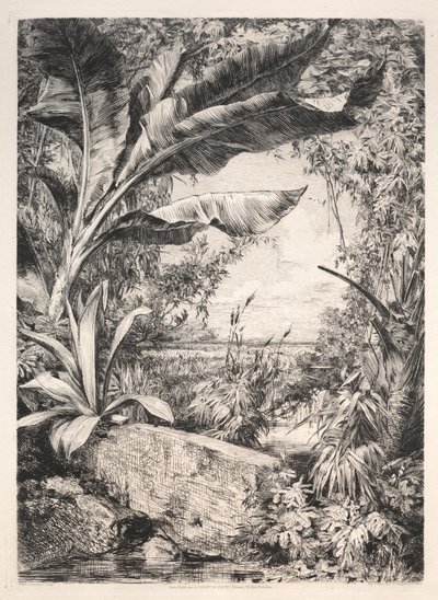 Plantas del invernadero, 1872 de Jules Ferdinand Jacquemart