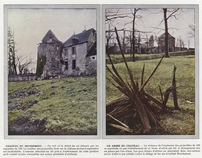 Chateau de Mondement, Un Arbre du Chateau de Jules Gervais Courtellemont
