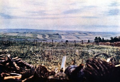 Colina 304 con alambre de púas cerca de Verdún, septiembre de 1916 de Jules Gervais Courtellemont