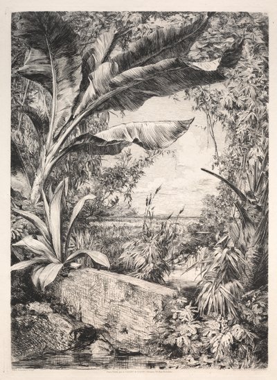 Plantas del Invernadero de Jules Jacquemart