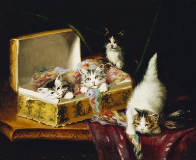En la caja de agujas de Jules Leroy