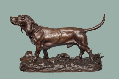 Un Basset Hound de Jules Pierre Moigniez