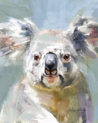 La tierna mirada del koala de Julia Cheney
