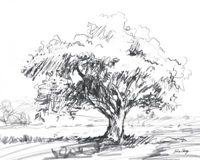 Dibujo rústico de un árbol de Julia Cheney