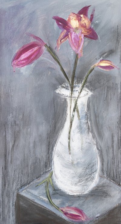  de Julia Contacessi