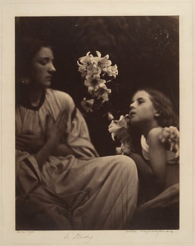  de Julia Margaret Cameron