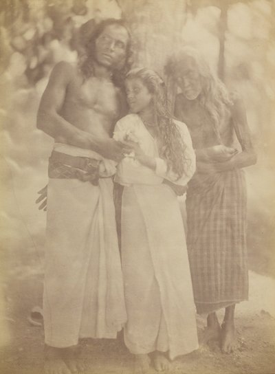[Grupo ceilandés junto a un árbol], 1878 de Julia Margaret Cameron
