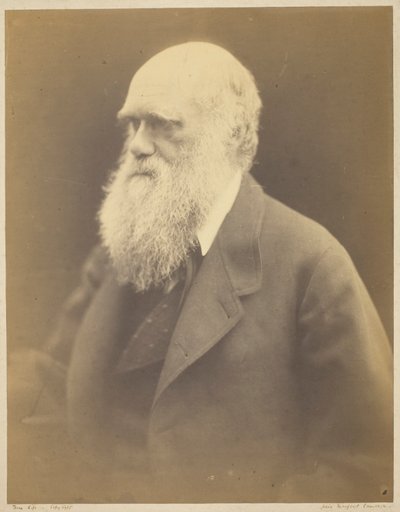 Charles Darwin de Julia Margaret Cameron