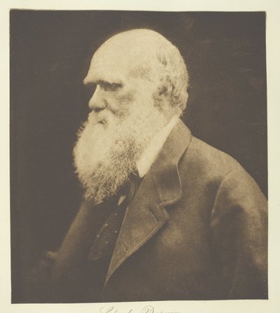 Charles Darwin de Julia Margaret Cameron