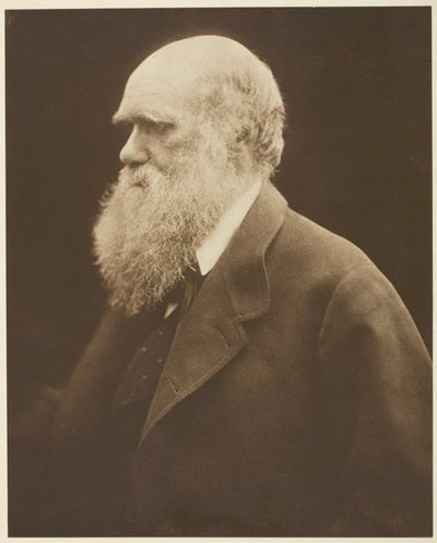 Charles Darwin de Julia Margaret Cameron