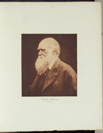  de Julia Margaret Cameron