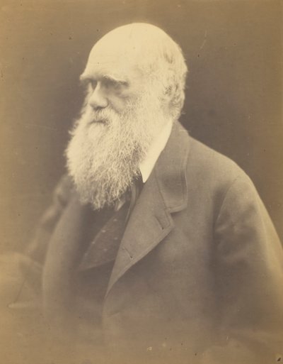 Charles Darwin, 1868 de Julia Margaret Cameron