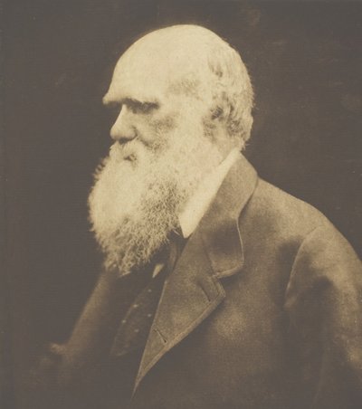 Charles Darwin de Julia Margaret Cameron