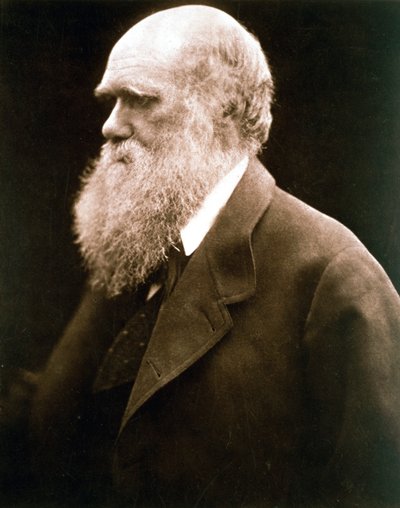 Charles Darwin, naturalista británico de Julia Margaret Cameron