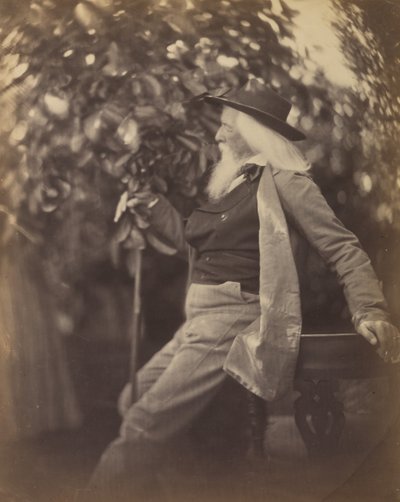 Charles Hay Cameron, Esq., en su jardín en Freshwater, 1865-67 de Julia Margaret Cameron