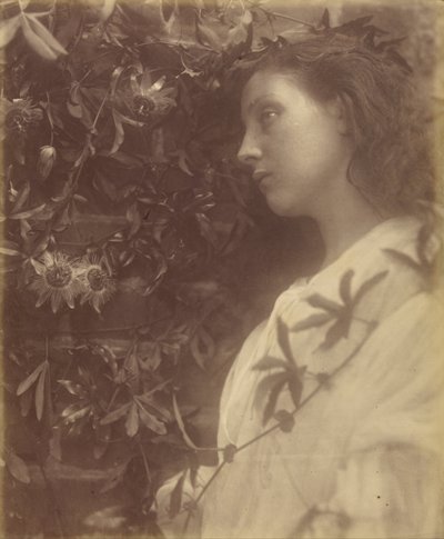 Maud Ha Caído una Lágrima Espléndida de la Flor de la Pasión en la Puerta de Julia Margaret Cameron