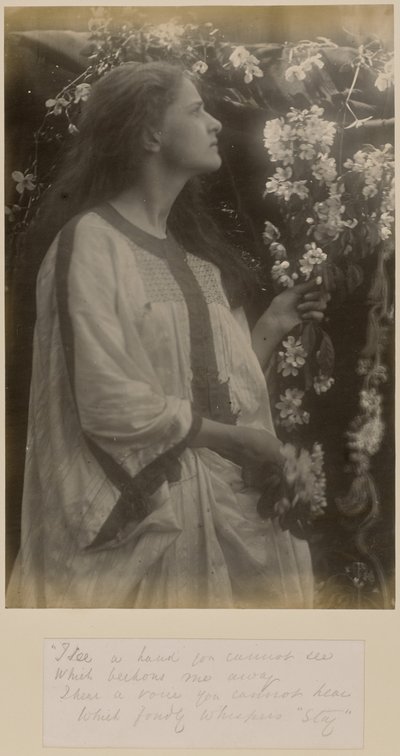 [Primavera] de Julia Margaret Cameron