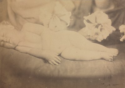 El lirio y el cordero, c. 1865 de Julia Margaret Cameron