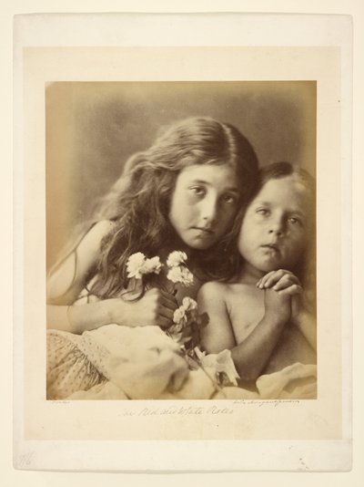 Las rosas rojas y blancas de Julia Margaret Cameron
